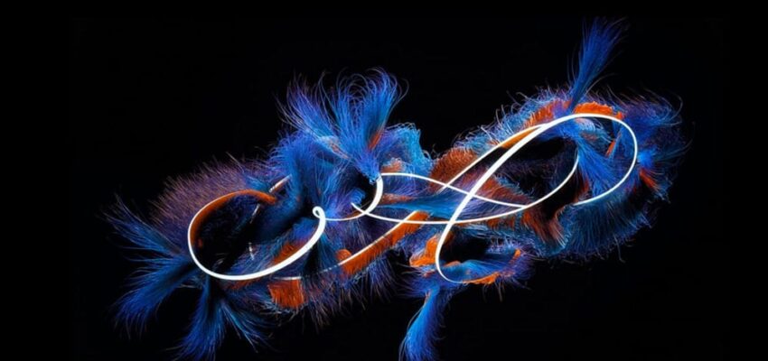 a blue and orange feathered object