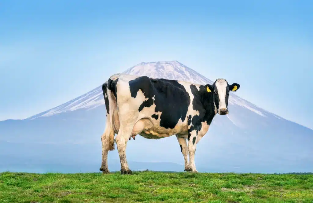 papermilk